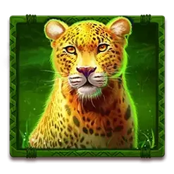 icon 1