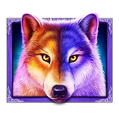 icon 9