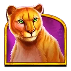 icon 4