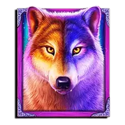 icon 9