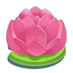 icon 5