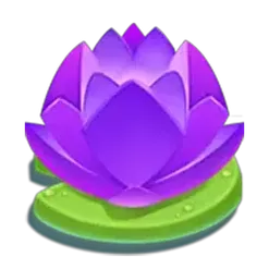 icon 6