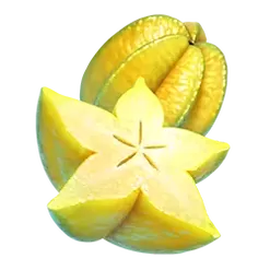 icon 4