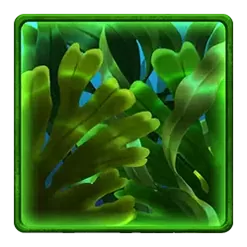 icon 10
