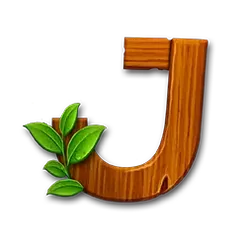 icon 9