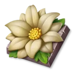 icon 4