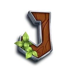 icon 10