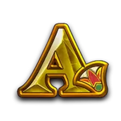icon 6