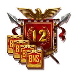 icon 9
