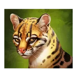icon 3