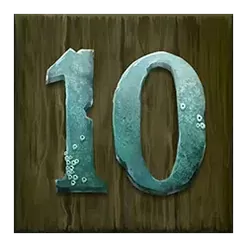 icon 10