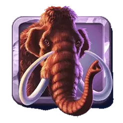 icon 2