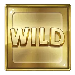 icon 4