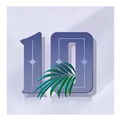 icon 9