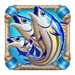 icon 5