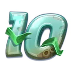 icon 10