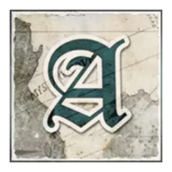icon 7