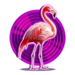 icon 2