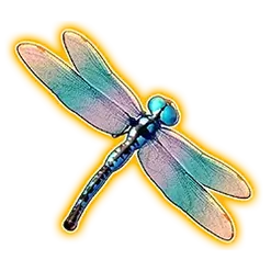 icon 2