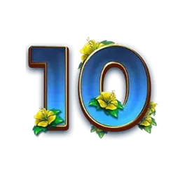 icon 11