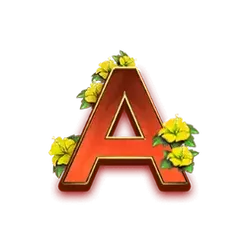 icon 7