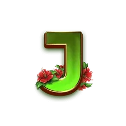 icon 10