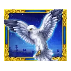 icon 4
