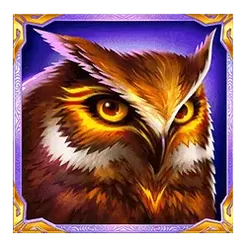 icon 3