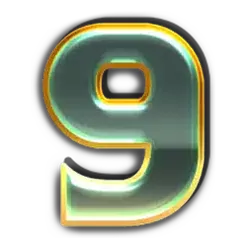 icon 10