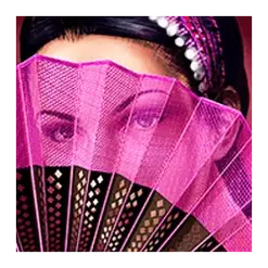 icon 2