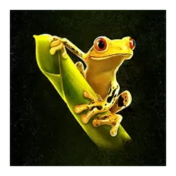 icon 3