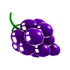 icon 5
