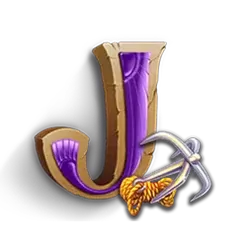icon 9