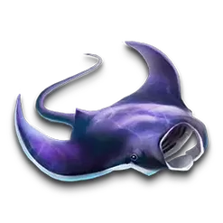 icon 4