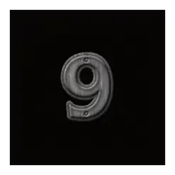 icon 13