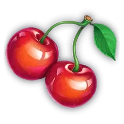 icon 4