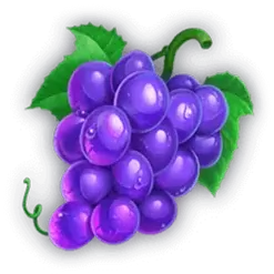icon 6