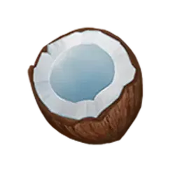 icon 9