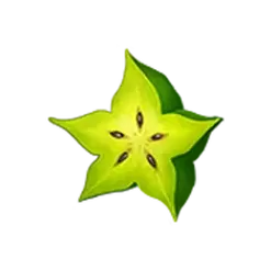 icon 6