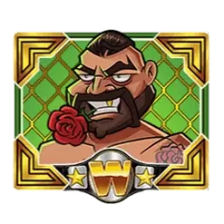 icon 4