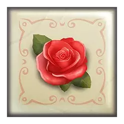 icon 4