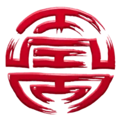 icon 5
