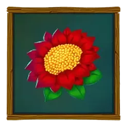 icon 6