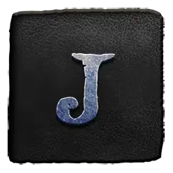 icon 9