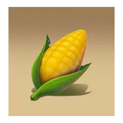icon 5