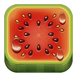 icon 1