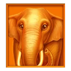 icon 2