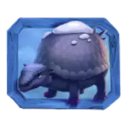 icon 5