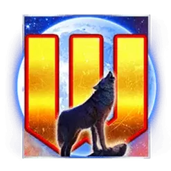 icon 12