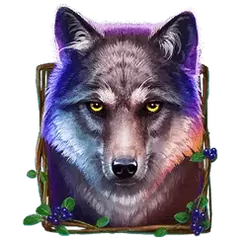 icon 1